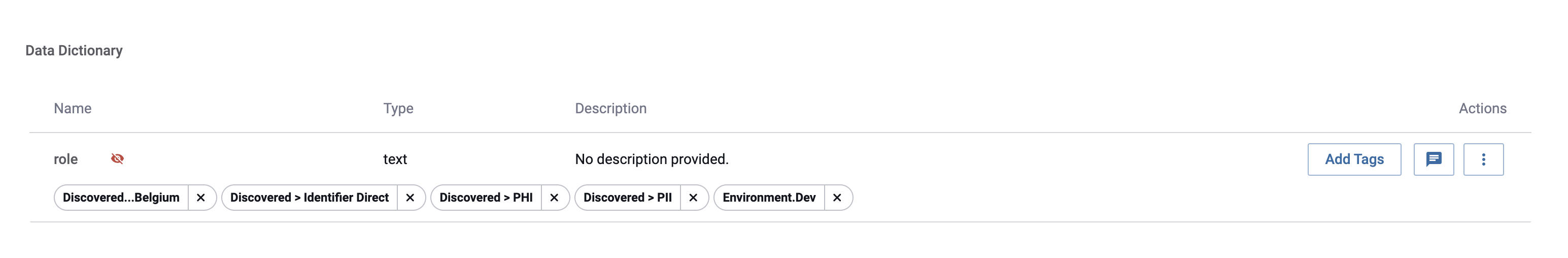 Discovered Tags in Data Dictionary